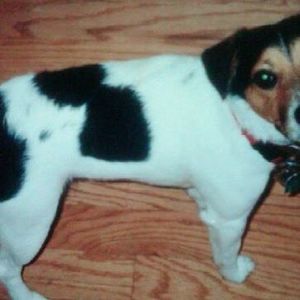 Meet your Posher, Jane